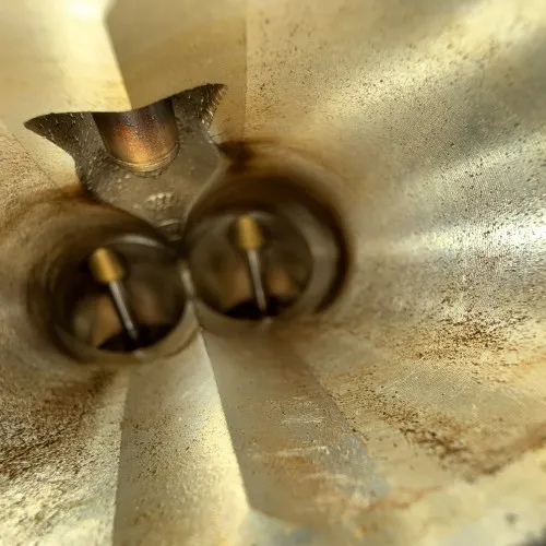 Image of intake valves on a BMW engine, not a direct-injection system and no turbo.